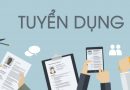 THÔNG TIN TUYỂN DỤNG